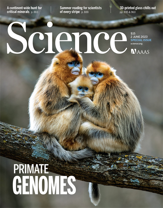 Science封面文章：乐鱼web版登录入口金丝猴研究团队首次系统揭示灵长类社会演化之谜_fororder_《自然》封面.JPG